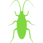 Icono Cucarachas