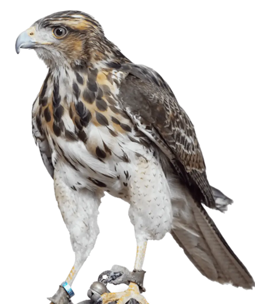 peuco control biologico