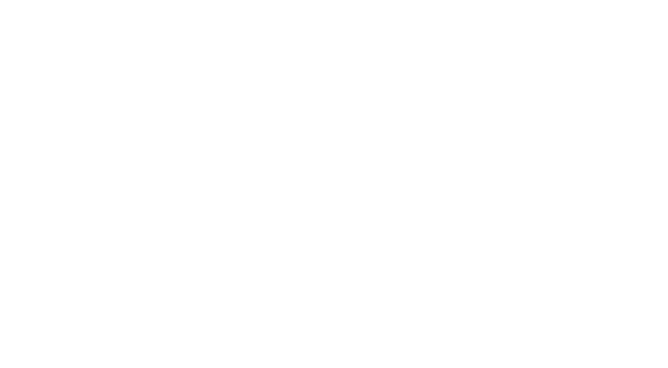 CVE